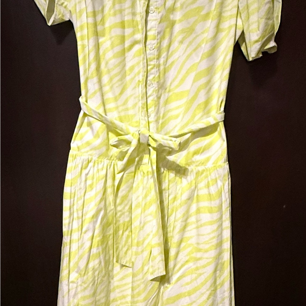 Skies Are Blue Lime Zebra Print Blouse